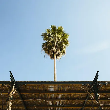 The Vintage House - Douro Szálloda Pinhão