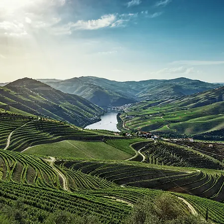 The Vintage House - Douro Szálloda