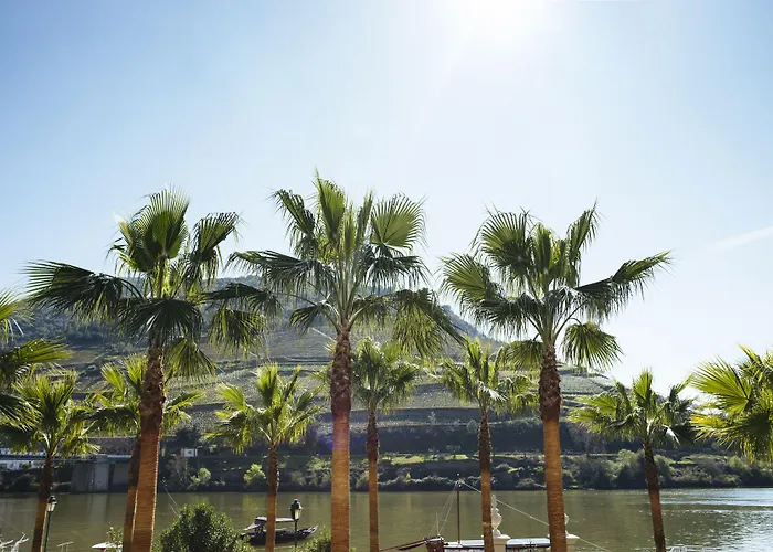 The Vintage House - Douro 5*