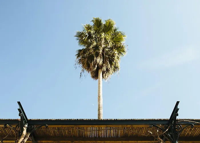 The Vintage House - Douro 호텔 핀하오