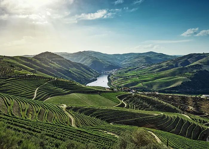 The Vintage House - Douro 호텔