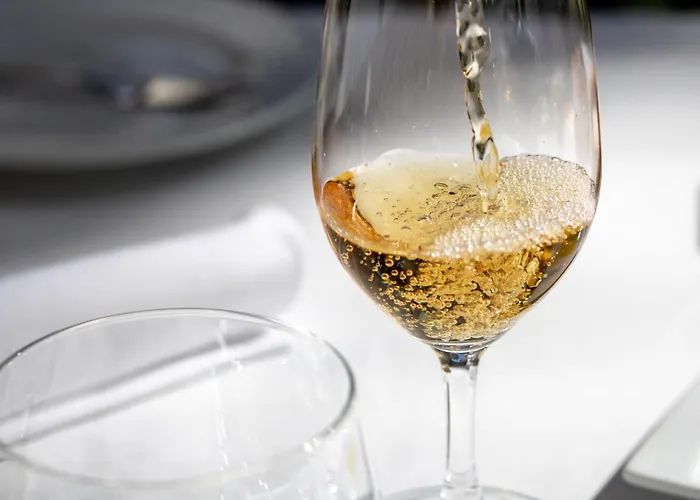 호텔 The Vintage House - Douro